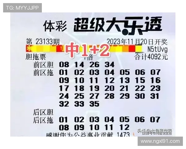 大乐透最新开奖结果查询器实时更新